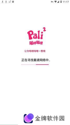 PALI2轻量版